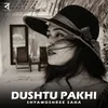 About Dushtu Pakhi Song